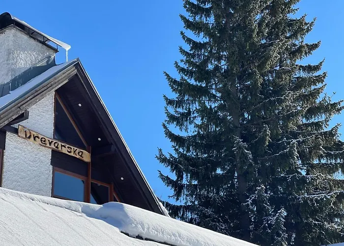 Chalet Drevarska